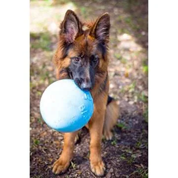 Jolly Pets Bounce-n-Play Dog Toy Ball, 8 Inches/Large, Blueberry, (Model: 2508 BB)