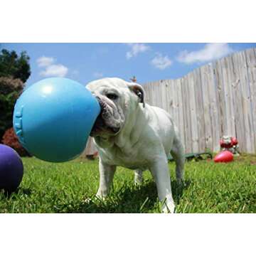 Jolly Pets Bounce-n-Play Dog Toy Ball, 8 Inches/Large, Blueberry, (Model: 2508 BB)