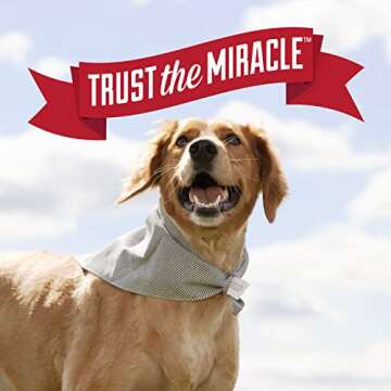 Nature's Miracle Urine Destroyer Dog 32 Ounces, Enzymatic Formula, Pour