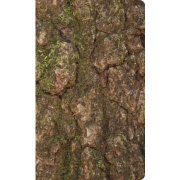 Waterproof Durable New Testament with Psalms and Proverbs-ESV-Camouflage