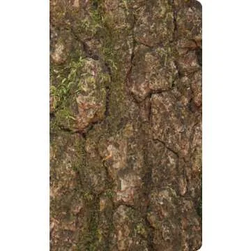 Waterproof Durable New Testament with Psalms and Proverbs-ESV-Camouflage