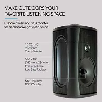 Definitive Technology AW6500 Outdoor Speaker - 6.5-inch Woofer, 200 Watts, Weather-Resistant, Black