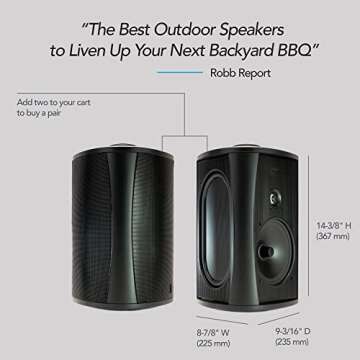 Definitive Technology AW6500 Outdoor Speaker - 6.5-inch Woofer, 200 Watts, Built for Extreme Weather, Single, Black