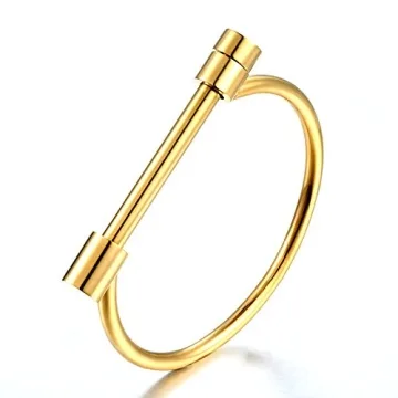 ANBALA Stylish Titanium Steel D Shape Bar Screw and Shackle Cuff Bangle Bracelet for Unisex, Gold,Flat Head Screw