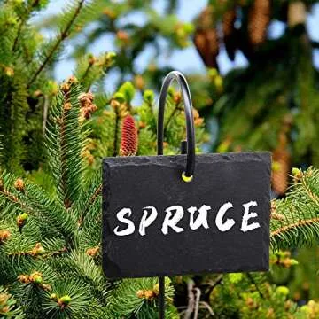 FORUP Slate Plant Label Set – 10 Reusable Garden Sign Tags
