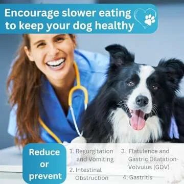 Briliantwerk Snuffle Mat for Dogs - Extremely Durable Material - 10 Training Elements and 3 Difficulty Levels - The Dog Snuffle mat for Snuffle mat for Large Dogs and Dogs of Any Size (Gray)