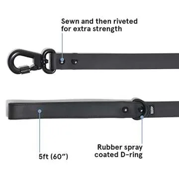 Barkbox Dog Leash (Medium, Black)