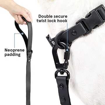 Barkbox Dog Leash (Medium, Black)
