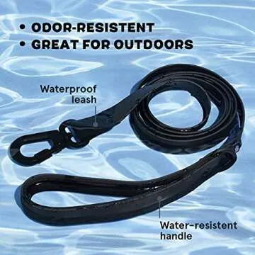 Barkbox Dog Leash (Medium, Black)
