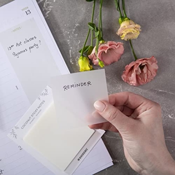 DiverseBee 50 Sheets Budget-Friendly Transparent Sticky Notes