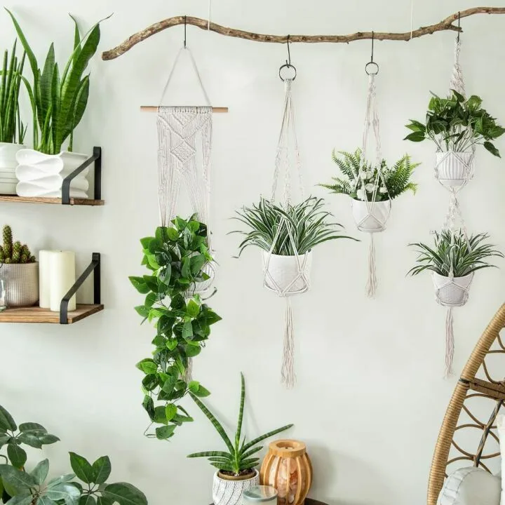 Macrame Plant Hangers - 6 Pack for Home Decor