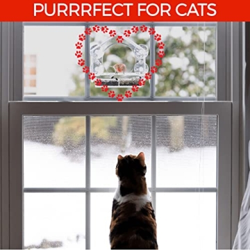 Nature Anywhere Acrylic Window Bird Feeders