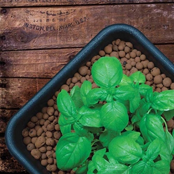 GROW!T GMC10L Clay Pebbles for Hydroponics & Drainage