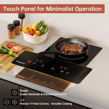 2 Burner Electric Cooktop with Timer & Child Lock