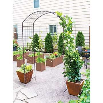 Gardeners Supply Company Jardin Rose Arch Plants Support | Sturdy Metal Garden Decor for Outdoor Flo...