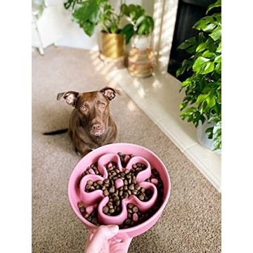 LE TAUCI Slow Feeder Ceramic Dog Bowl for Fast Eaters