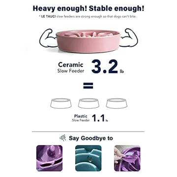 LE TAUCI Slow Feeder Ceramic Dog Bowl for Fast Eaters