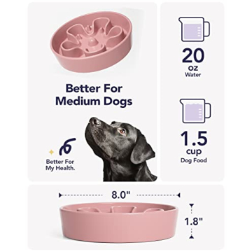 LE TAUCI Slow Feeder Ceramic Dog Bowl for Fast Eaters