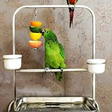 Honbay Parrot Rabbit Fruit Vegetable Holder Skewer Holder