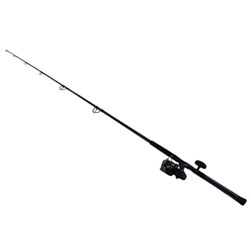 Daiwa BG5000/701H Saltwater Fishing Combo - Heavy-Duty 7' Rod & Reel