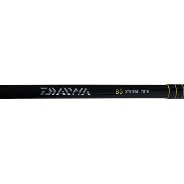 Daiwa BG5000/701H Saltwater Fishing Combo for All Levels