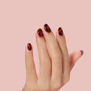 FZANEST Fall Gel Nail Polish Colors Set,Jelly Brown Gel Polish Nail Crystal Transparent Yellow Orange Blood Red Dark Wine Gel Polish Kit Manicure DIY Nail Art Home Salon for Women