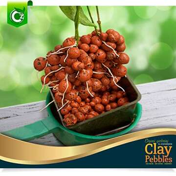 XL Expanded Clay Pebbles for Orchids & Hydroponics