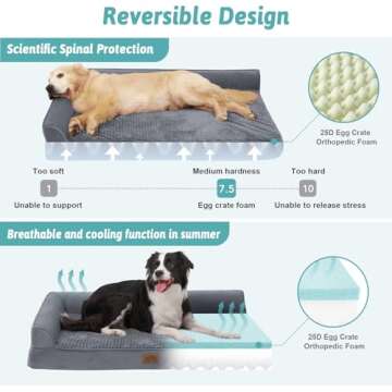Comfortable Orthopedic Dog Bed for Large Dogs