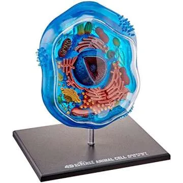 Famemaster 4D-Science Animal Cell Anatomy Model Coral, Black, Mint Green, Beige, Gold, Rose Gold