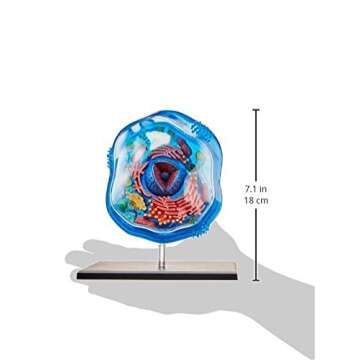 Famemaster 4D-Science Animal Cell Anatomy Model Coral, Black, Mint Green, Beige, Gold, Rose Gold