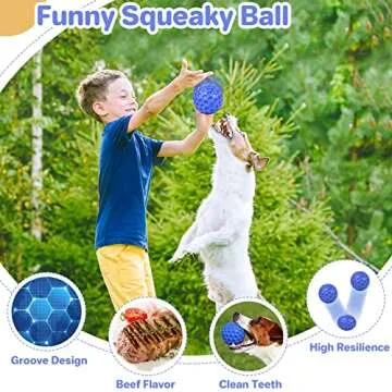 DISSKNIC Indestructible Dog Ball for Aggressive Chewers
