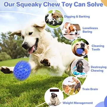 DISSKNIC Indestructible Dog Ball for Aggressive Chewers
