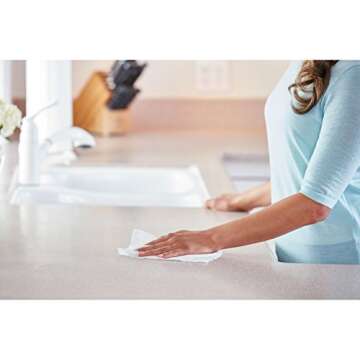 Clorox Disinfecting Wipes to Go Pack Fresh Scent Case Pack 24