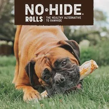 Earth Animal No Hide Large Beef Flavored Natural Rawhide Free Dog Chews Long Lasting Chew Sticks | Treats for Large Dogs | Great for Aggressive Chewers (1 Pack)