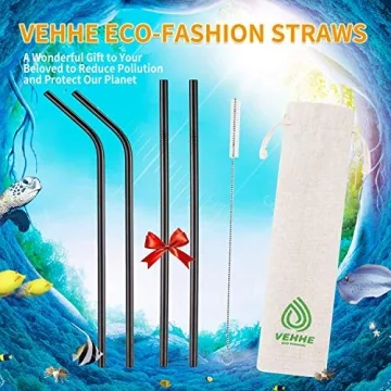 VEHHE Black Metal Reusable Stainless Steel Straws Gift