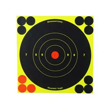 Birchwood Casey SHOOT-N-C 6-Inch Round Target (60 Sheet Pack)