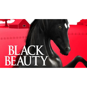 Elegant Black Beauty: Timeless Accessory for Every Occasion