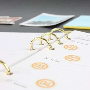 Clear A5 Binder Gold 6 Ring Budget Binders Loose Leaf Folders Refillable Soft PVC Notebook Shell Protector Binding Accessories Supplies (Gold A5 Binder)