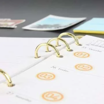 Clear A5 Binder Gold 6 Ring Budget Binders Loose Leaf Folders Refillable Soft PVC Notebook Shell Protector Binding Accessories Supplies (Gold A5 Binder)