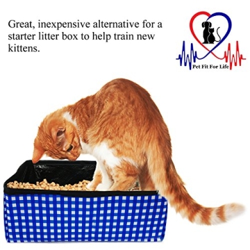 Vibrant Collapsible Travel Cat Litter Box Portable Design