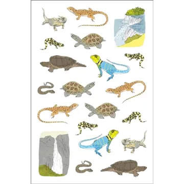 Nature Anatomy Sticker Book Over 750 Creative Stickers