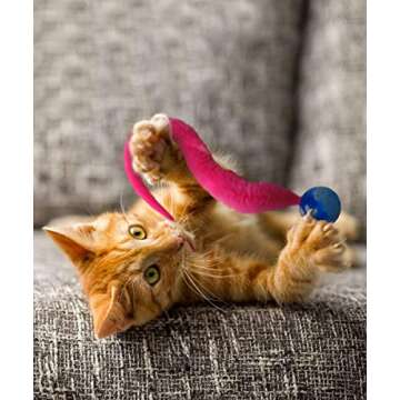 Dezi & Roo Wiggly Ball - 3pk - Fun Cat Toys - Toy Balls for Indoor Cats - Designed by a Feline Vet - Made in USA…