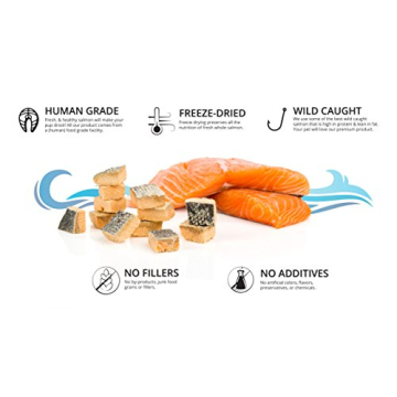 Premium Freeze Dried Salmon Dog Treats for Training