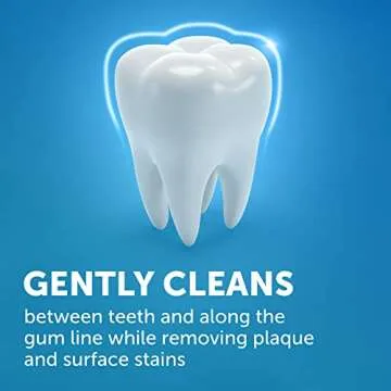 ARM & HAMMER Peroxicare Toothpaste, TWIN PACK (Contains Two 6oz Tubes) âââ€š¬ââ‚¬Å“ Clean Mint- Fluoride Toothpaste