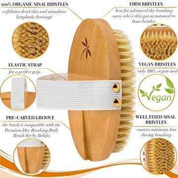 Belula 100% Vegan Dry Brushing Body Brush. Firm Dry Brush for Cellulite and Lymphatic. Brushes for Advanced Users. Exfoliating Skin Brush and Free Konjac Sponge, for a Softer, Glowing Skin