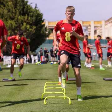 NWS Forza Speed Training Hurdles - Enhance Agility and Speed for Multi-Sport Training - Choose from ...