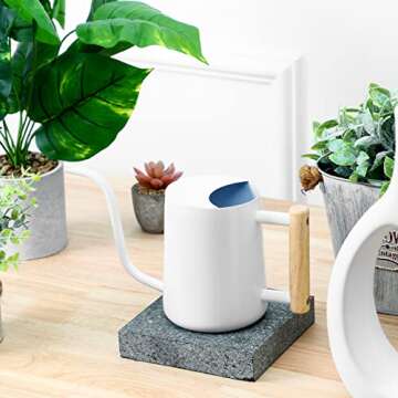 CEWOR Watering Can Indoor Plants White 35 Oz Cute Watering Can Indoor Metal Watering Can Pot with Long Spout for Indoor House Plants Bonsai Outdoor Garden Flower Decorative