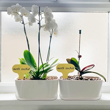 Stylish Torfican 5 Set Window Planter Box Set - Customizable