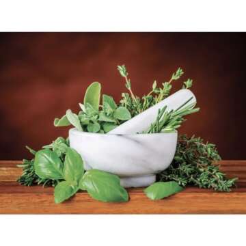 HIC Kitchen Mortar and Pestle Set for Spices and Herbs