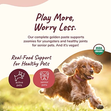 kin+kind Hip+Joint Supplement for Dogs & Cats - Natural Organic